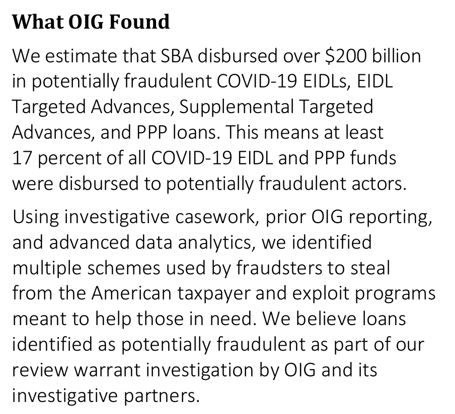 Original SBA Office of Inspector General executive-summary excerpt identifying over $200 billion in potentially fraudulent pandemic loans and explaining that identified loans warrant investigation.